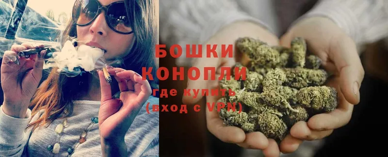 kraken ссылки  Куровское  Шишки марихуана SATIVA & INDICA 